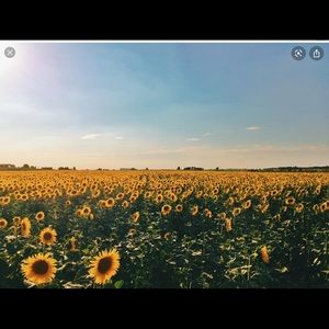 I O S plzzzzzz grade with me anything Lululemon